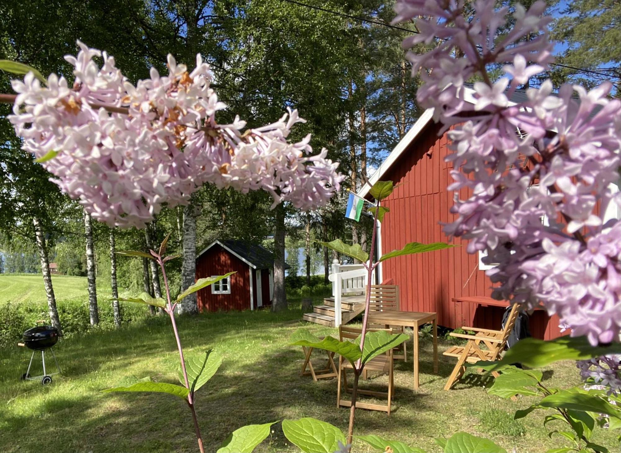 Sunshine Stuga Bergvik Gallo Exterior foto